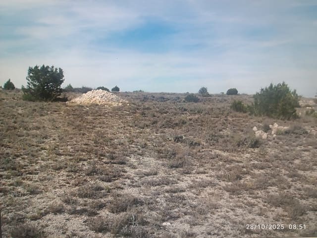 Finca/Landehus til salg i San Esteban de Gormaz - € 5.000 (Ref: 10078294)