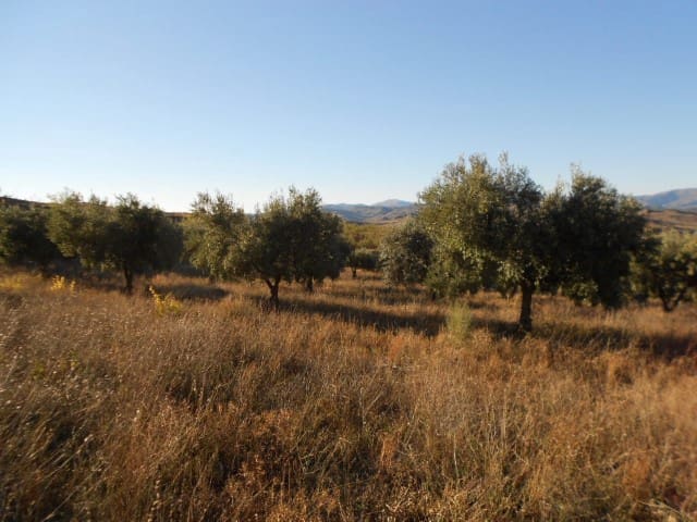 Finca/Country House for sale in Illueca - € 7,000 (Ref: 10078297)