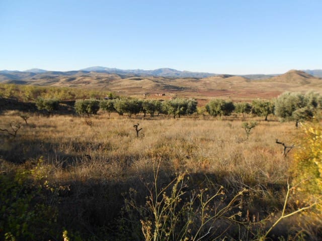 Finca/Country House for sale in Illueca - € 7,000 (Ref: 10078297)