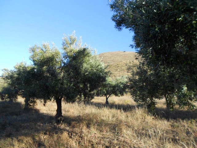 Finca/Country House for sale in Illueca - € 7,000 (Ref: 10078297)