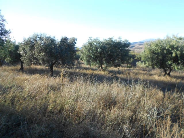 Finca/Country House for sale in Illueca - € 7,000 (Ref: 10078297)