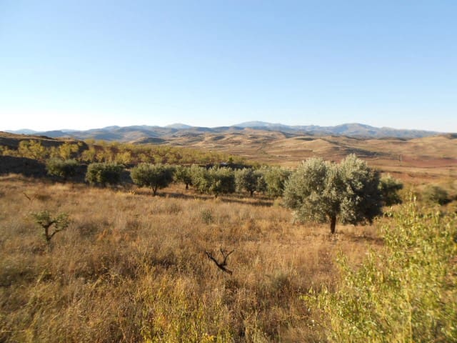 Finca/Country House for sale in Illueca - € 7,000 (Ref: 10078297)
