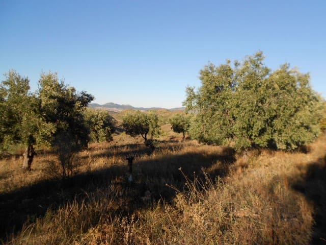 Finca/Country House for sale in Illueca - € 7,000 (Ref: 10078297)