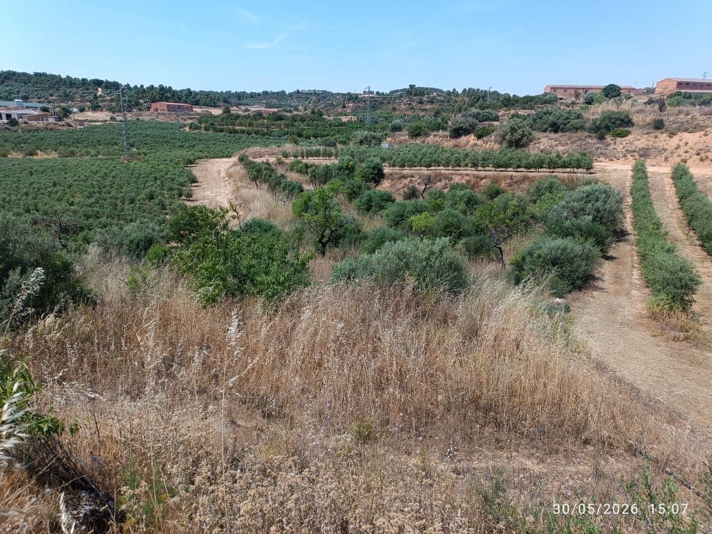 Finca/Country House for sale in La Palma d'Ebre - € 12,000 (Ref: 10085037)