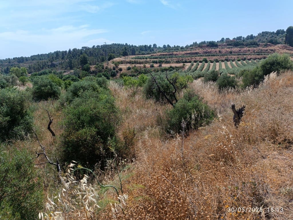 Finca/Country House for sale in La Palma d'Ebre - € 12,000 (Ref: 10085037)