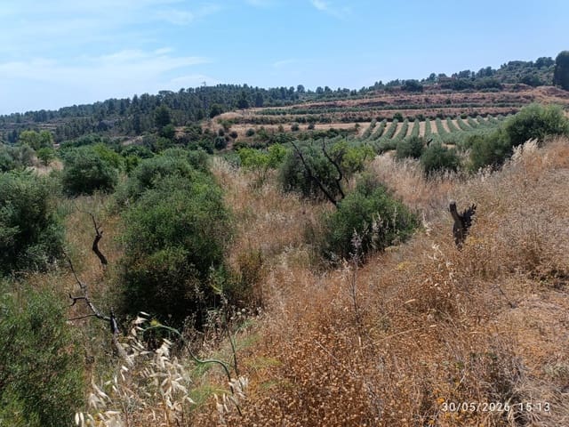 Finca/Landgut zu verkaufen in La Palma d'Ebre - 12.000 € (Ref: 10085037)