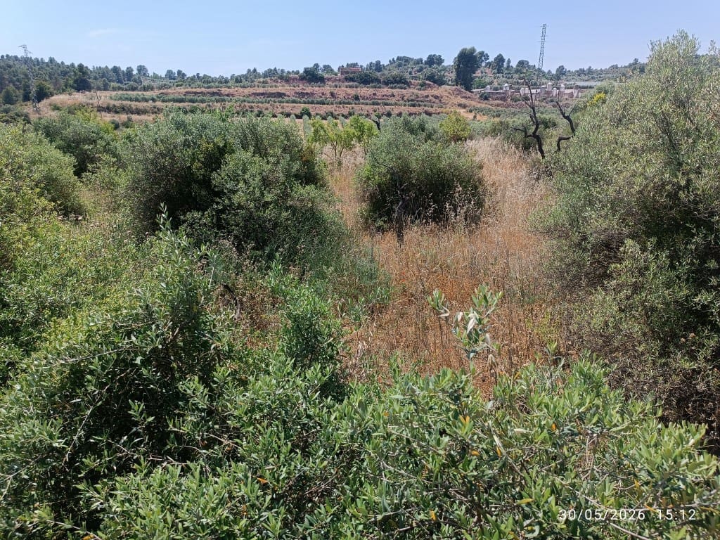 Finca/Country House for sale in La Palma d'Ebre - € 12,000 (Ref: 10085037)