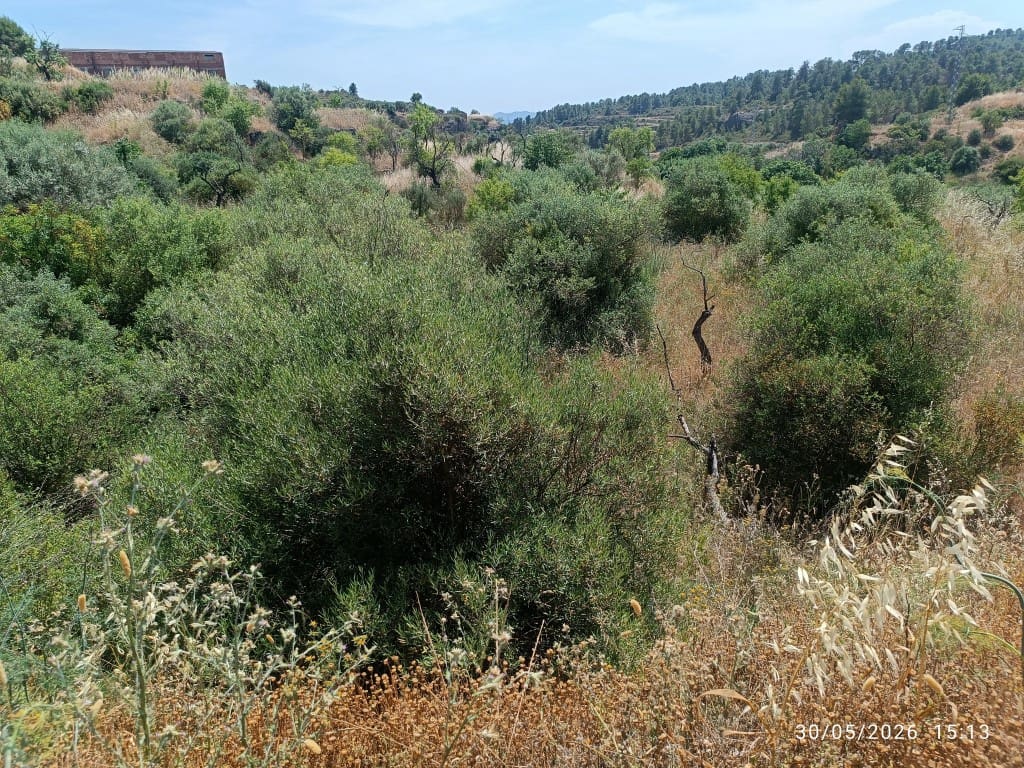 Finca/Country House for sale in La Palma d'Ebre - € 12,000 (Ref: 10085037)