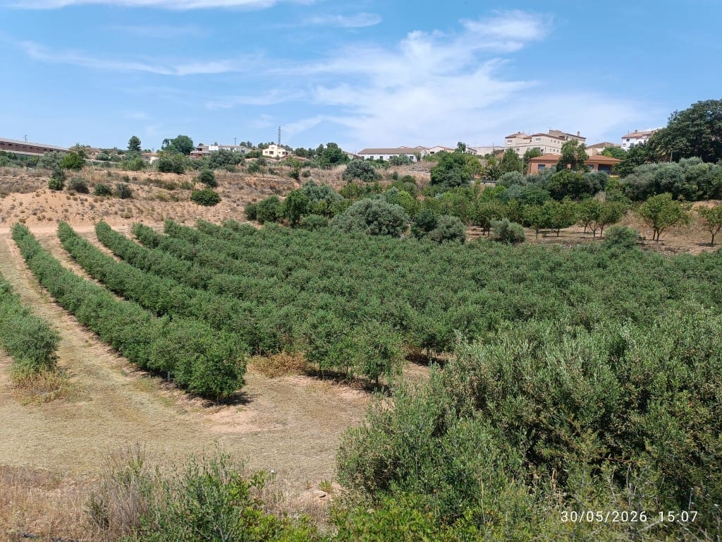 Finca/Country House for sale in La Palma d'Ebre - € 12,000 (Ref: 10085037)