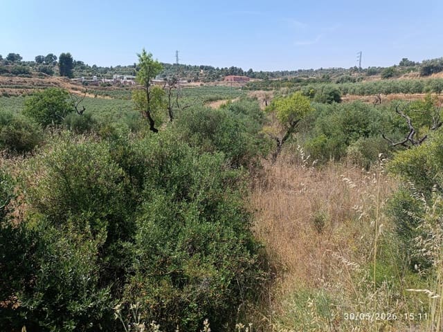 Finca/Landgut zu verkaufen in La Palma d'Ebre - 12.000 € (Ref: 10085037)