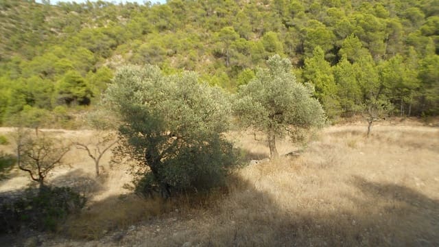 Finca/Casa Rural en Mequinenza en venta - 8.000 € (Ref: 10090869)