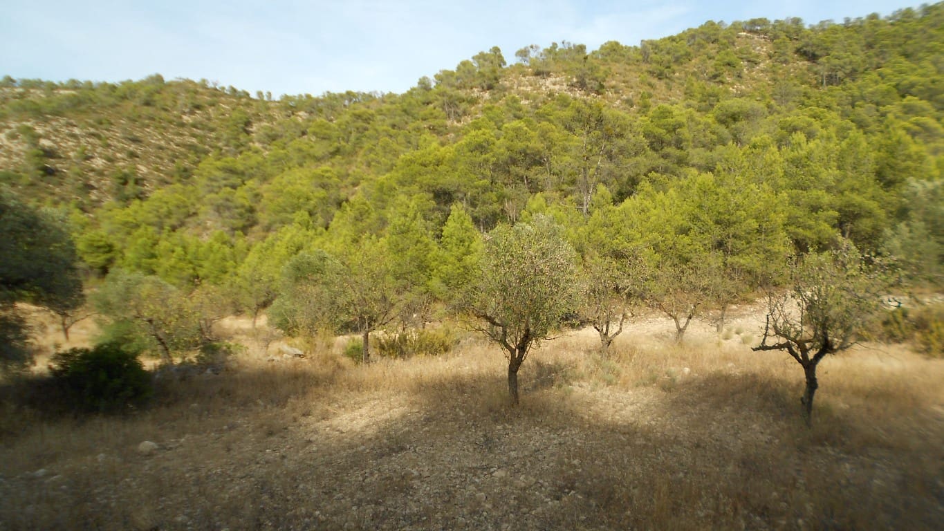 Finca/Casa Rural en Mequinenza en venta - 8.000 € (Ref: 10090869)
