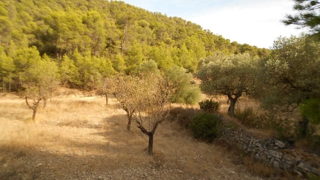 Finca/Casa Rural en Mequinenza en venta - 8.000 € (Ref: 10090869)