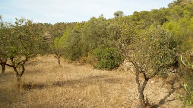 Finca/Casa Rural en Mequinenza en venta - 8.000 € (Ref: 10090869)