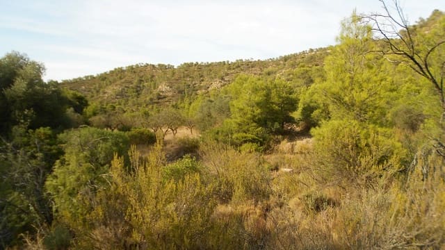 Finca/Casa Rural en Mequinenza en venta - 8.000 € (Ref: 10090869)