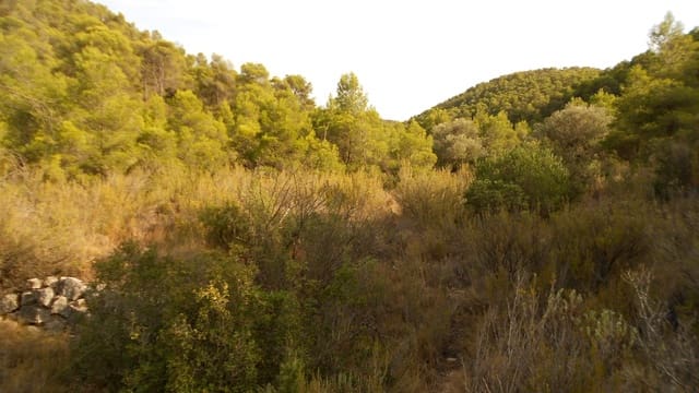 Finca/Casa Rural en Mequinenza en venta - 8.000 € (Ref: 10090869)