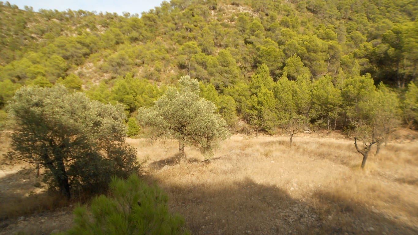 Finca/Casa Rural en Mequinenza en venta - 8.000 € (Ref: 10090869)