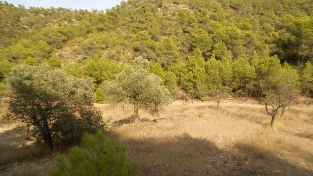 Finca/Casa Rural en Mequinenza en venta - 8.000 € (Ref: 10090869)