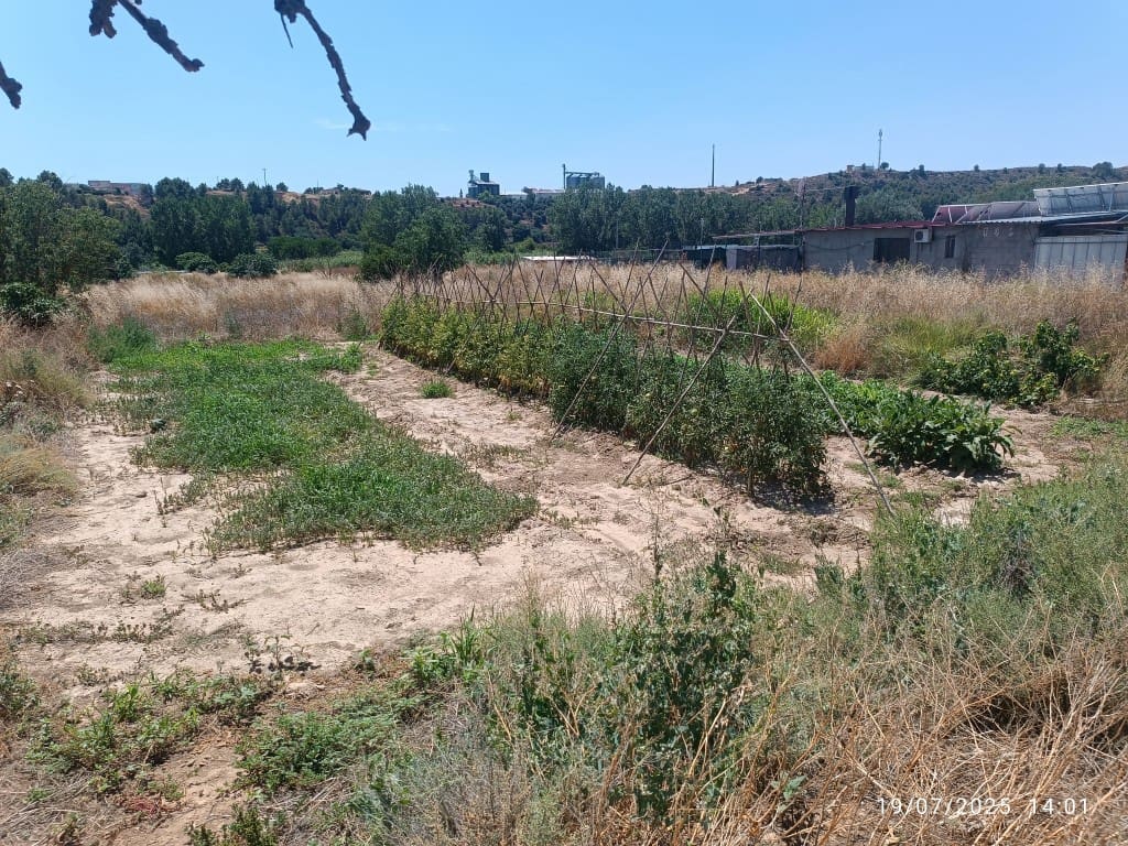 Finca/Landhuis te koop in Nonaspe - € 24.000 (Ref: 10090953)