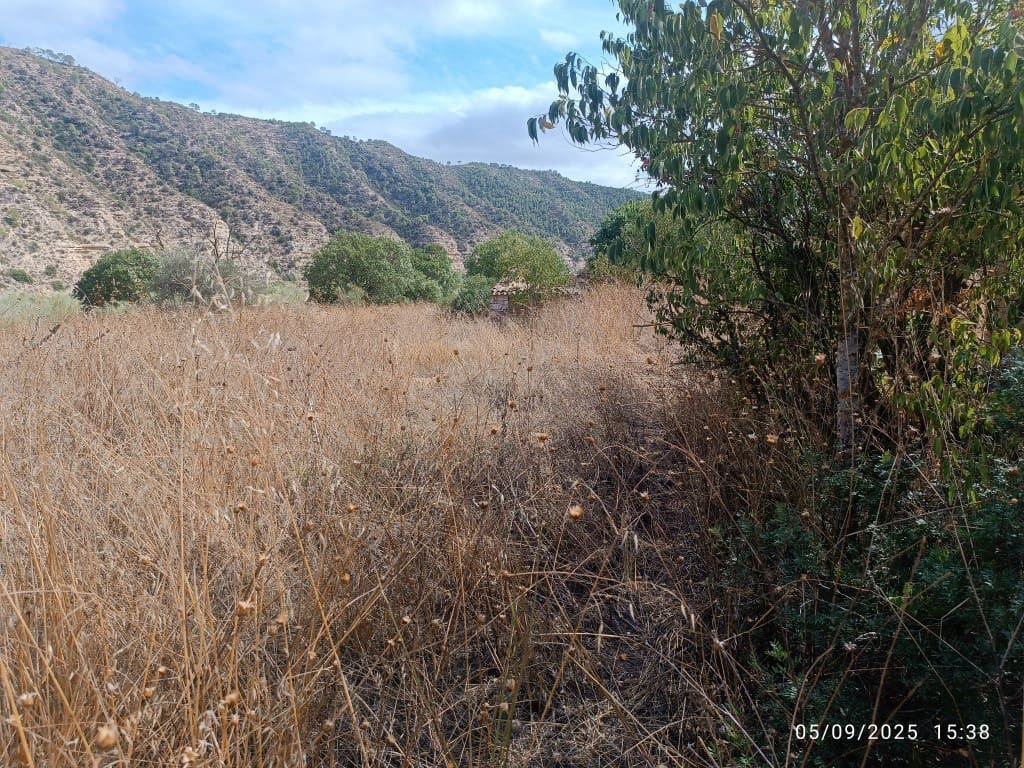 1 bedroom Finca/Country House for sale in La Pobla de Massaluca - € 12,000 (Ref: 10124528)