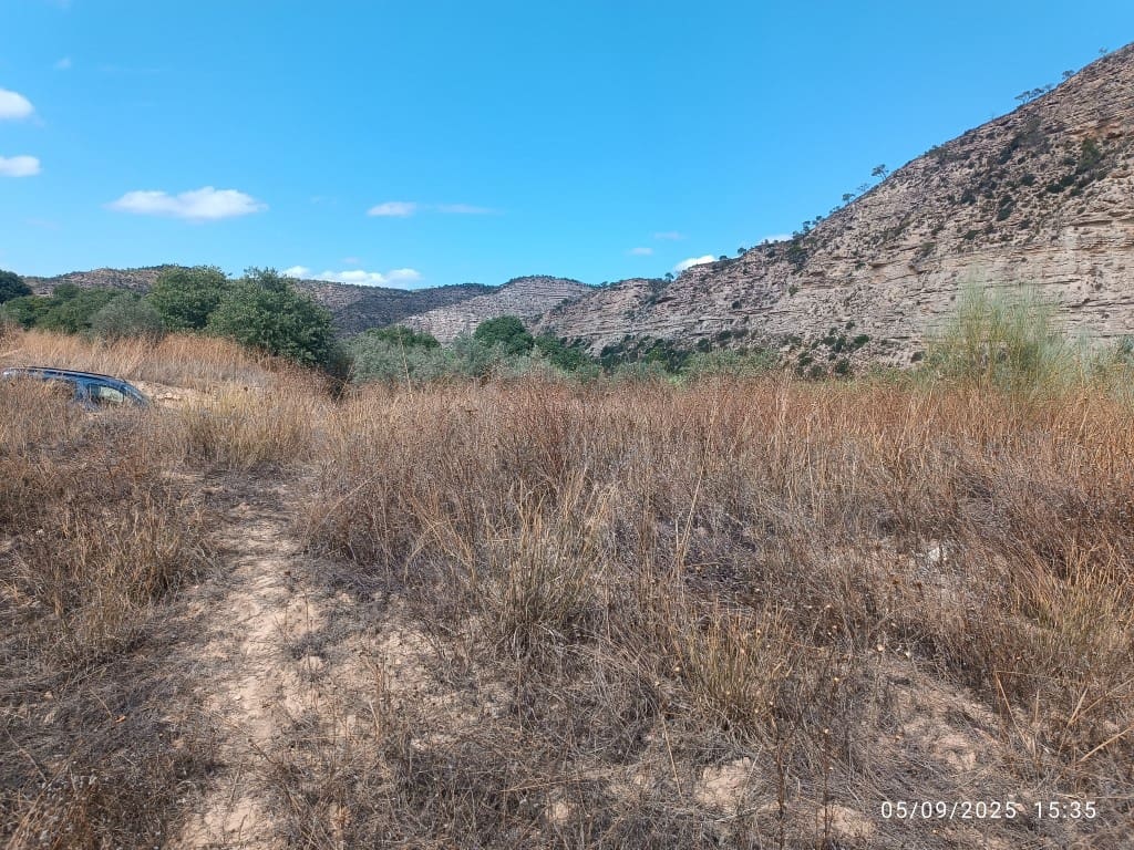 1 bedroom Finca/Country House for sale in La Pobla de Massaluca - € 12,000 (Ref: 10124528)