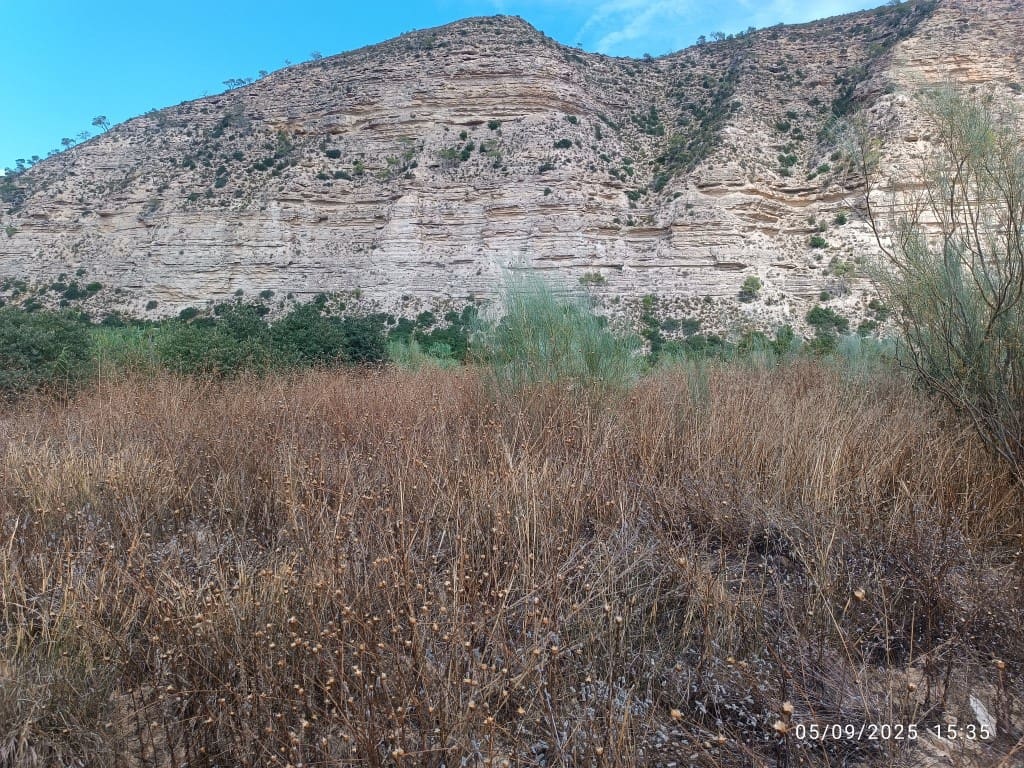 1 bedroom Finca/Country House for sale in La Pobla de Massaluca - € 12,000 (Ref: 10124528)