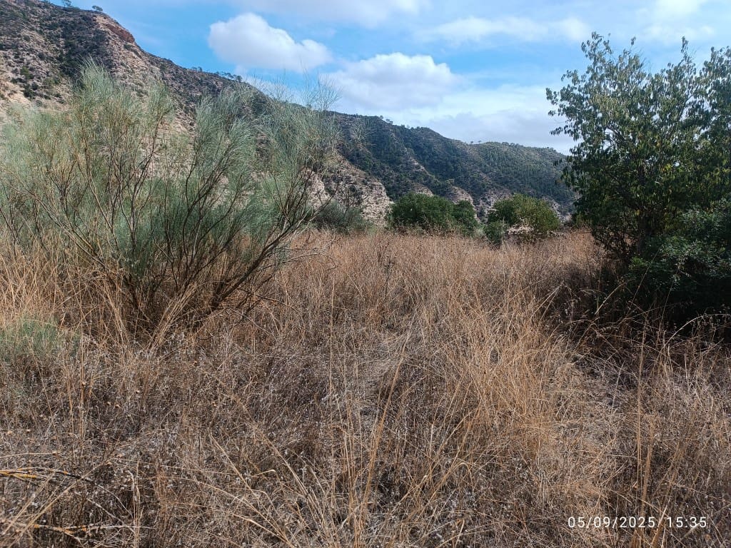 1 bedroom Finca/Country House for sale in La Pobla de Massaluca - € 12,000 (Ref: 10124528)