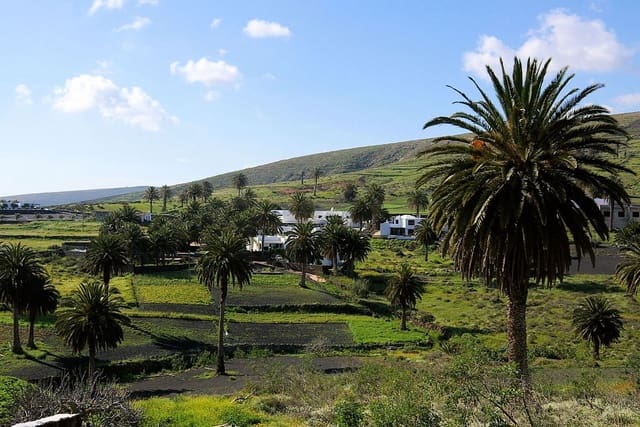 22 sovrum Villa till salu i Haría med pool garage - 3 500 000 € (Ref: 7864981)