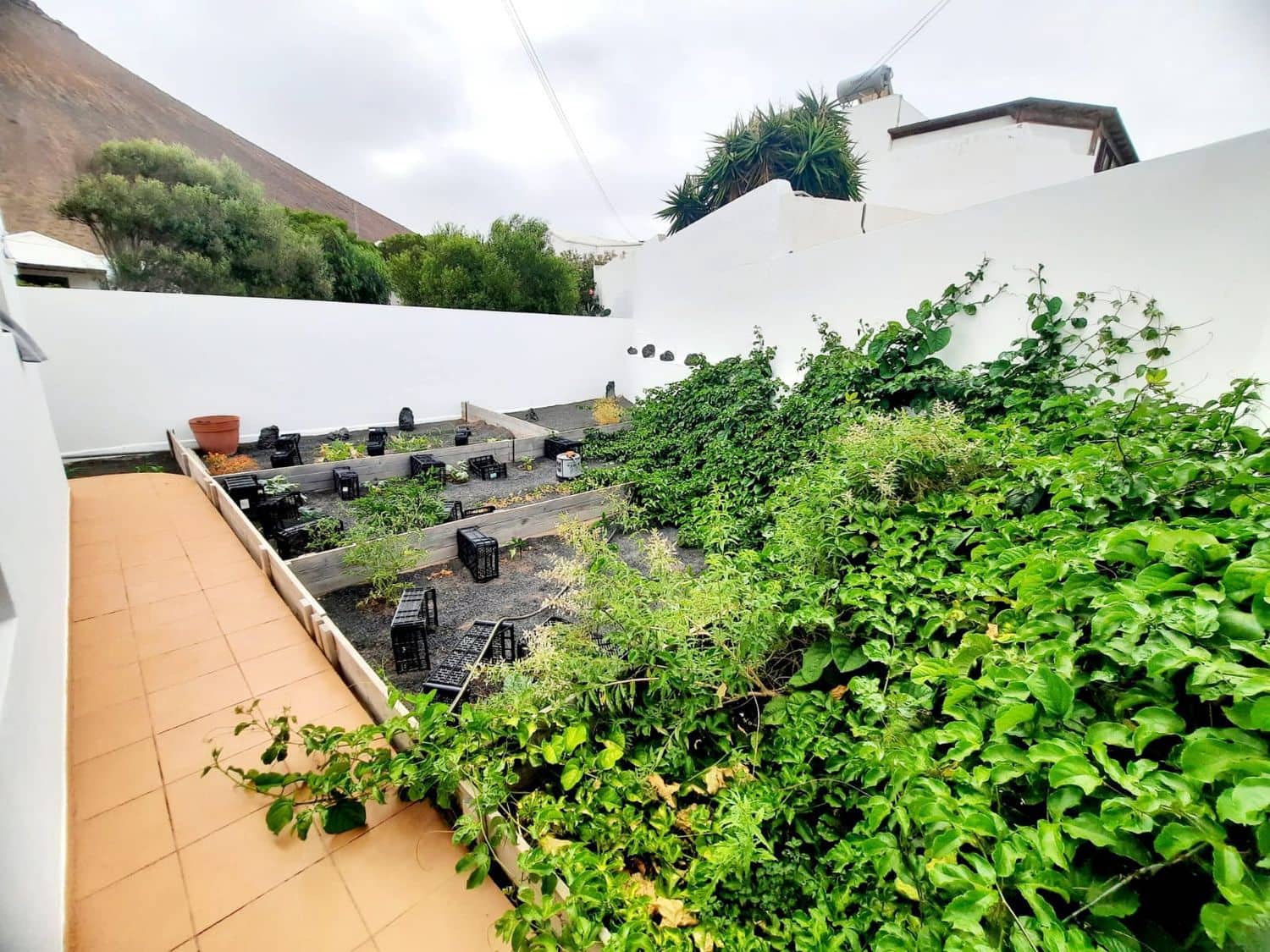 7 soverom Villa til salgs i Tahiche med garasje - € 745 000 (Ref: 7886769)