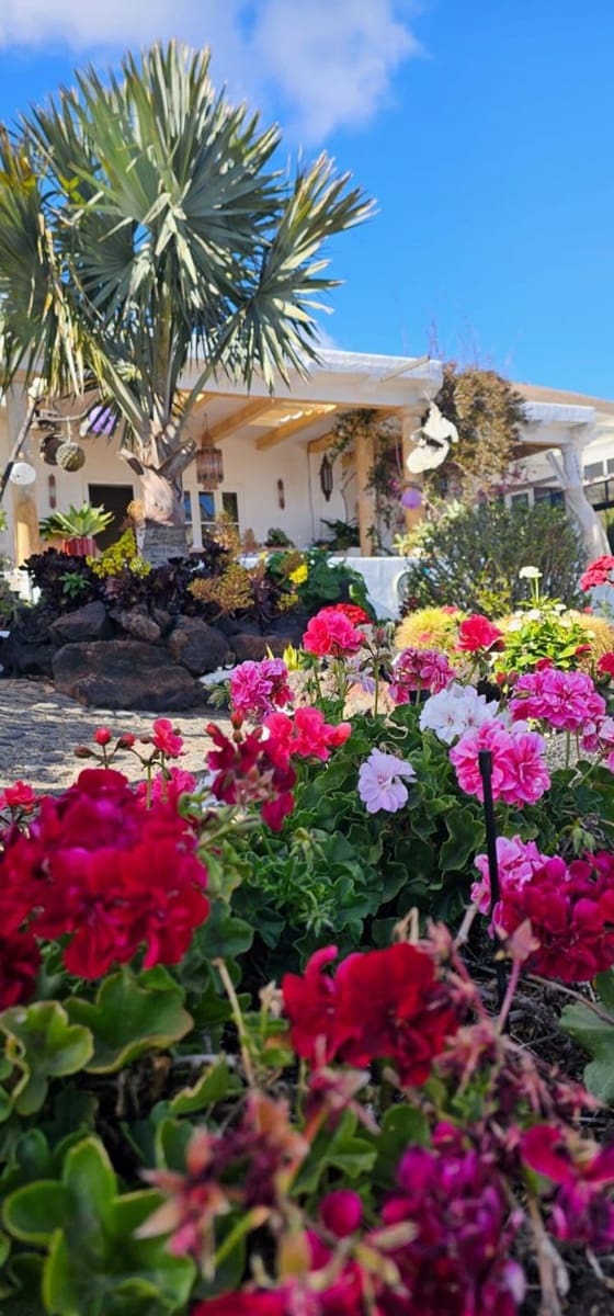 7 soveværelse Villa til salg i Tias med garage - € 2.500.000 (Ref: 8307976)