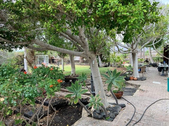 3 slaapkamer Finca/Landhuis te koop in Tías met garage - € 1.450.000 (Ref: 9145193)