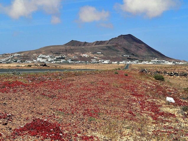 Rakentamaton maa myytävänä paikassa Soo, Teguise - 120 000 € (Ref: 9268980)