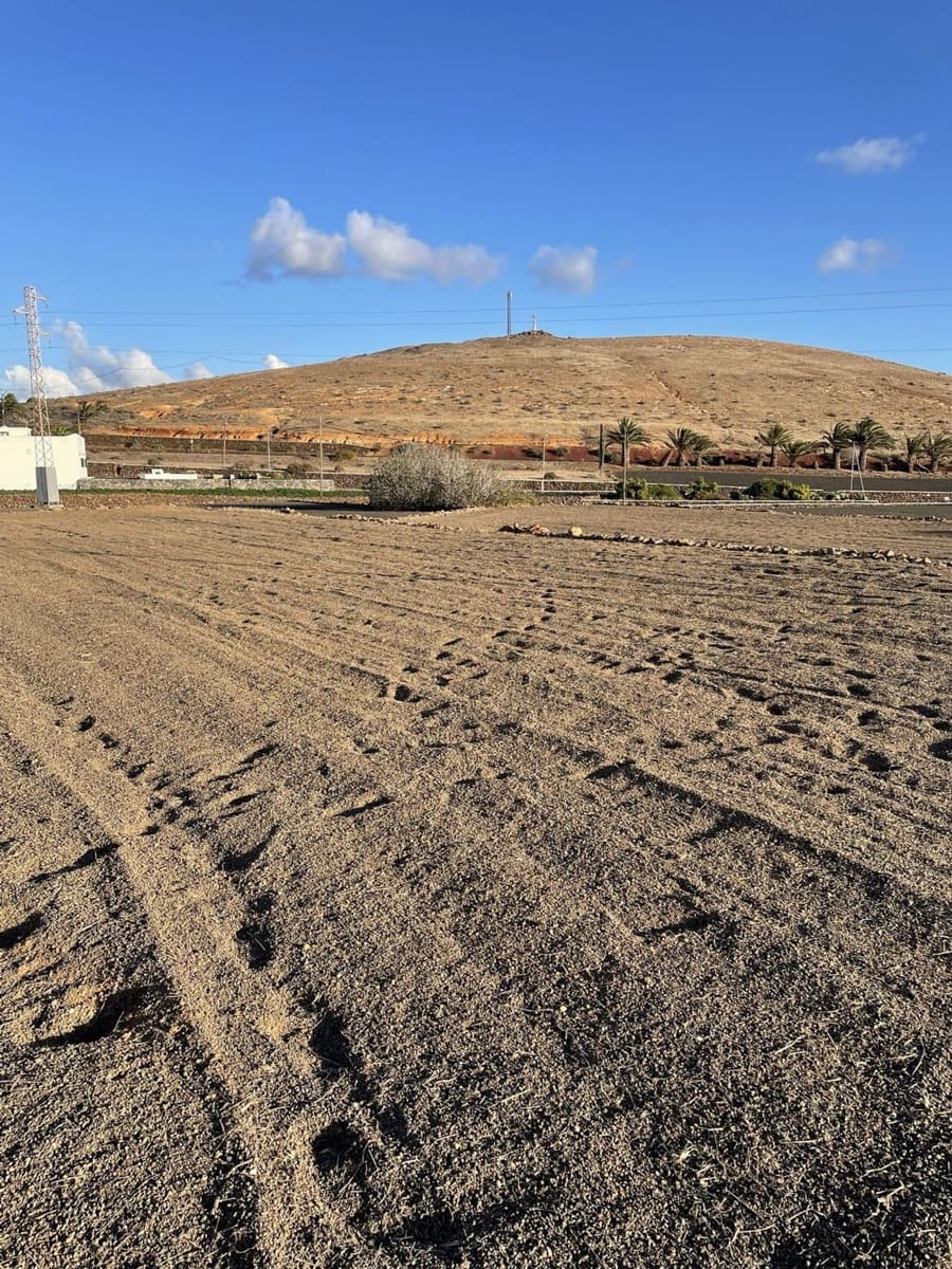 Undeveloped Land for sale in Teguise - € 135,000 (Ref: 9935447)
