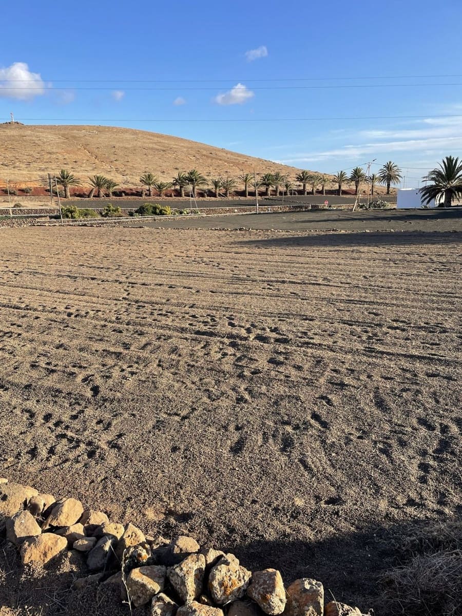 Undeveloped Land for sale in Teguise - € 135,000 (Ref: 9935447)