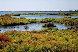 2 chambre Bungalow à vendre à San Miguel de Salinas avec piscine - 269 900 € (Ref: 9191159)