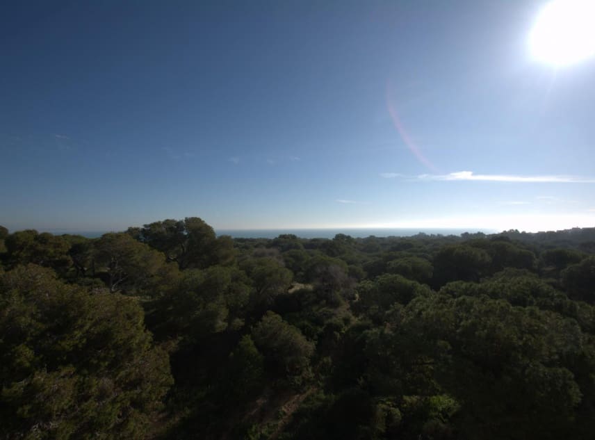 3 quarto Penthouse para venda em Guardamar del Segura com piscina garagem - 850 000 € (Ref: 10062950)