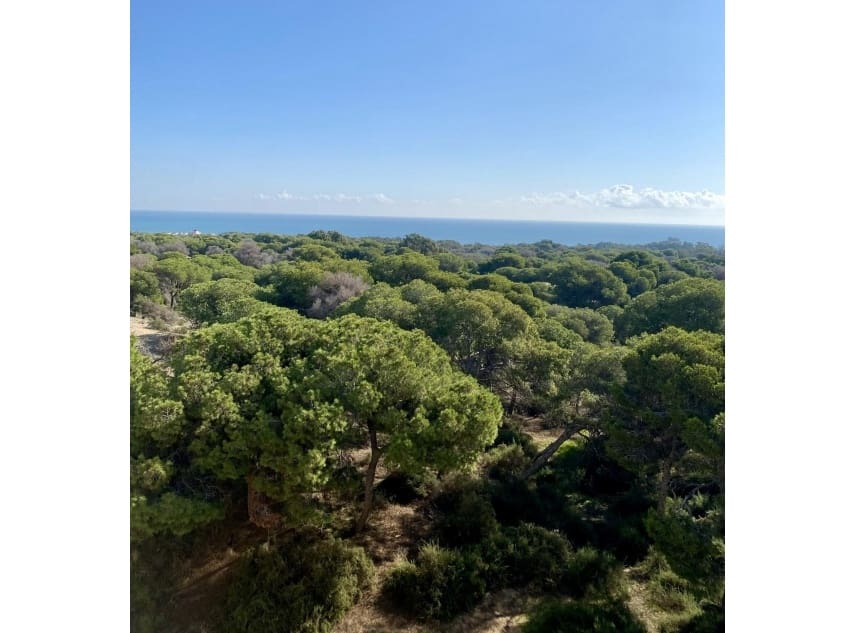 2 soveværelse Penthouse til salg i Guardamar del Segura - € 555.000 (Ref: 10112231)