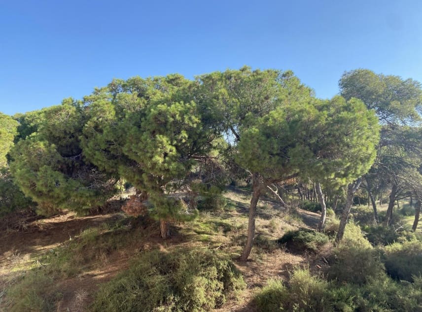 2 soveværelse Penthouse til salg i Guardamar del Segura - € 555.000 (Ref: 10112231)