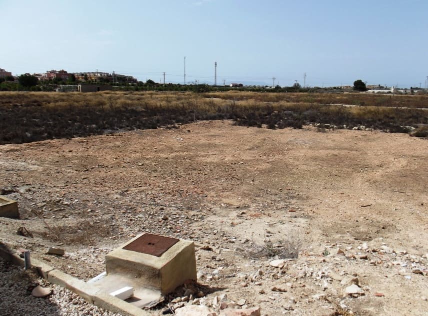 3 sypialnia Willa na sprzedaż w Los Montesinos z basenem garażem - 3 000 000 € (Ref: 7949371)