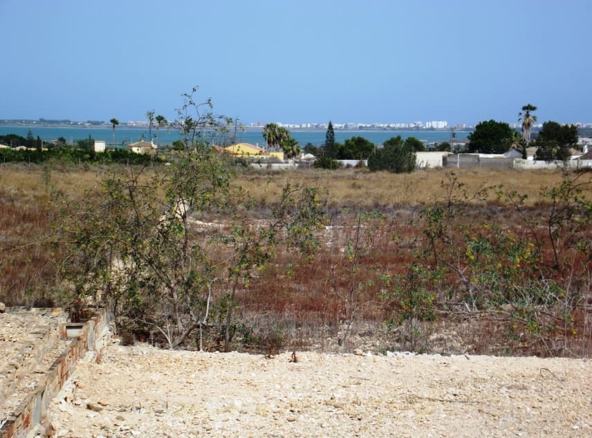 3 sypialnia Willa na sprzedaż w Los Montesinos z basenem garażem - 3 000 000 € (Ref: 7949371)