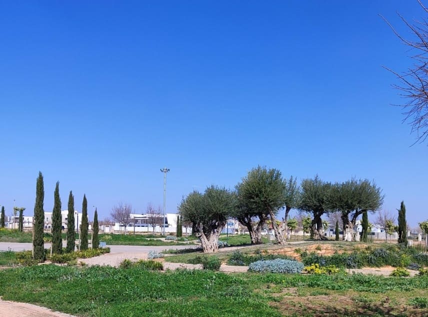 3 bedroom Apartment for sale in Torre-Pacheco with pool garage - € 196,000 (Ref: 8418808)