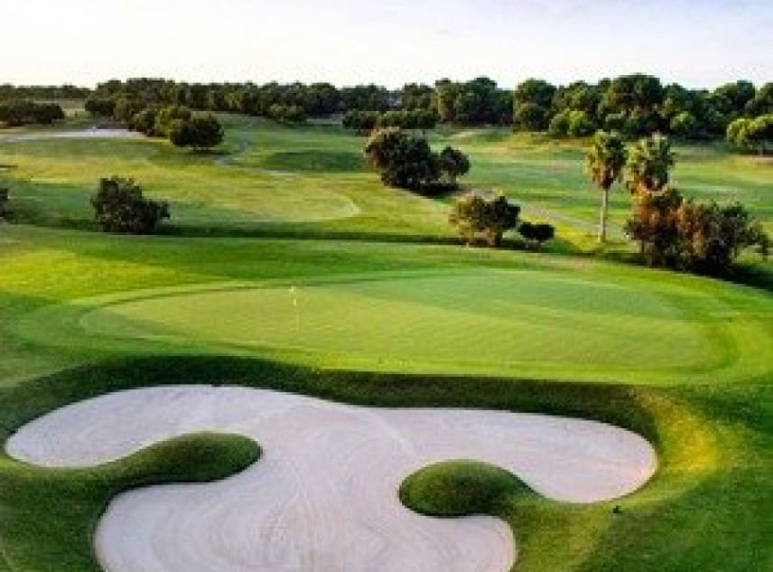 3 soveværelse Villa til salg i Pilar de la Horadada med swimmingpool garage - € 460.000 (Ref: 8785343)