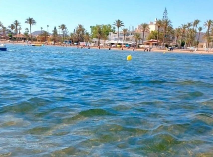 3 soveværelse Villa til salg i Roldan med swimmingpool garage - € 389.950 (Ref: 8863083)