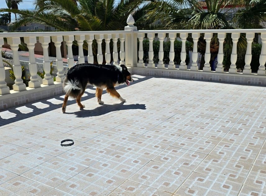 5 soveværelse Villa til salg i El Chaparral med swimmingpool garage - € 595.000 (Ref: 8917315)