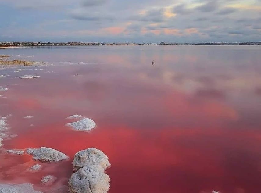 2 bedroom Bungalow for sale in Los Balcones with pool - € 305,000 (Ref: 9087278)