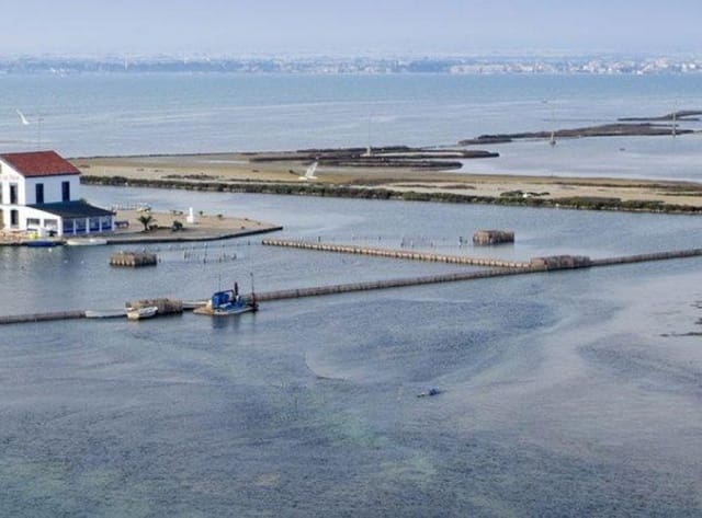 3 soveværelse Lejlighed til salg i San Pedro del Pinatar ciudad, San Pedro del Pinatar med swimmingpool - € 293.900 (Ref: 9111345)