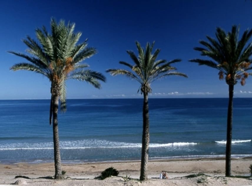 3 soveværelse Bungalow til salg i Pilar de la Horadada med swimmingpool - € 290.000 (Ref: 9150815)