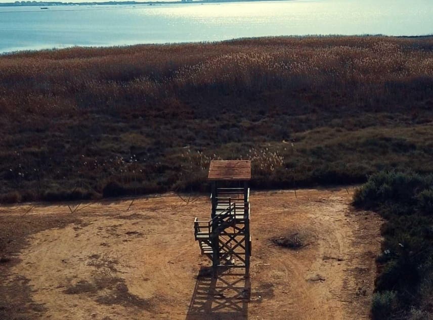 3 sypialnia Willa na sprzedaż w Los Montesinos z basenem - 409 900 € (Ref: 9167497)