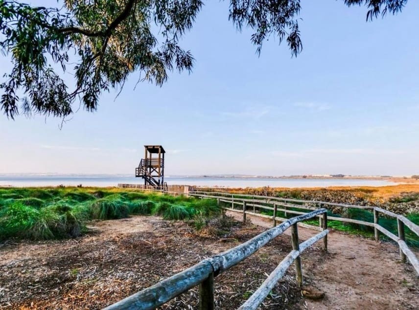 2 soveværelse Bungalow til salg i El Chaparral med swimmingpool - € 95.000 (Ref: 9332723)