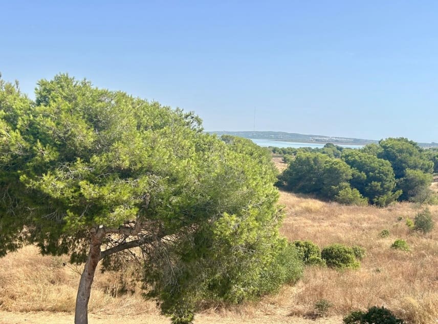 2 bedroom Bungalow for sale in El Chaparral with pool - € 126,000 (Ref: 9961688)